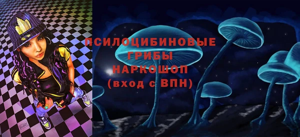 mdpv Заводоуковск
