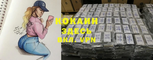 mdpv Заводоуковск