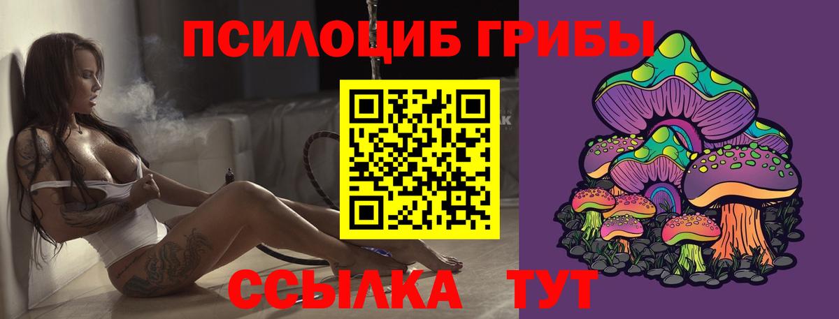 Касимов  Галлюциногенные грибы мицелий  Вход с VPN 